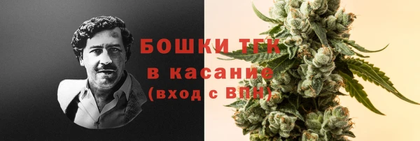 твердый Арсеньев