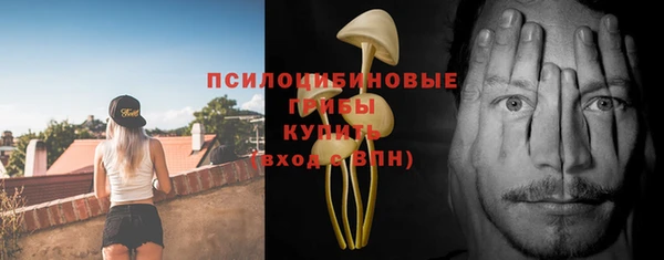 твердый Арсеньев