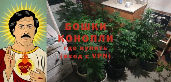твердый Арсеньев