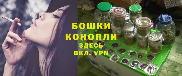 твердый Арсеньев
