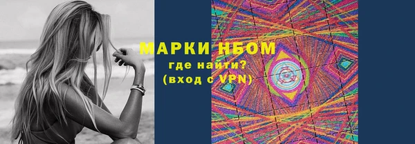 твердый Арсеньев