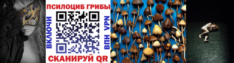 Галлюциногенные грибы ЛСД  Купить где  Струнино 